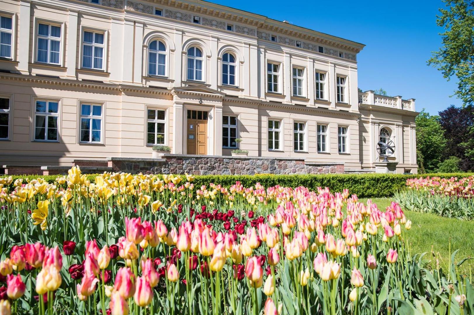 Zespół Pałacowo-Parkowy w Ostromecku Ostromecko Exterior foto
